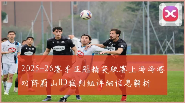 2025-26赛季亚冠精英联赛上海海港对阵蔚山HD裁判组详细信息解析